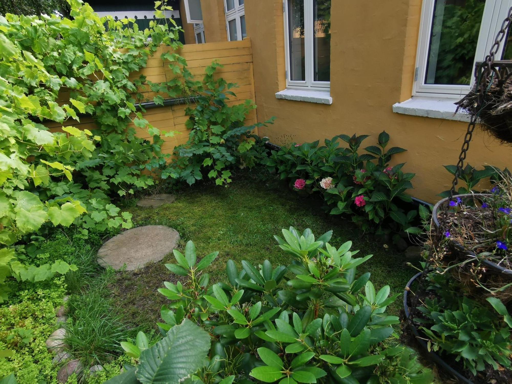 The Fig Studio - "Den Gule Svane" Guest House - Near Ronne & Beach エクステリア 写真